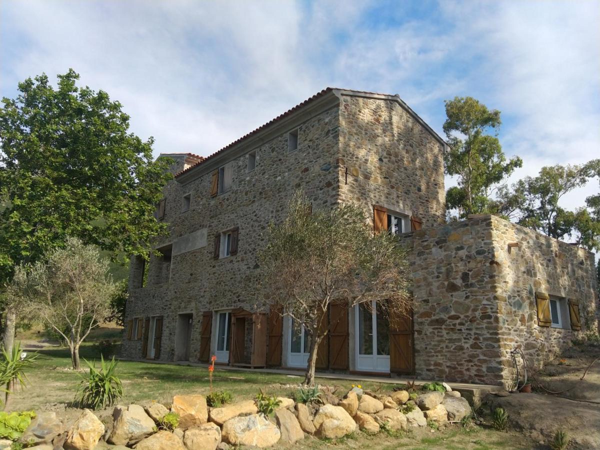 Mulinu Biancu Hotel Poggio-d'Oletta Exterior foto